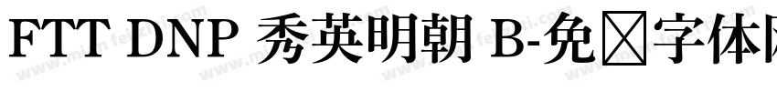 FTT DNP 秀英明朝 B字体转换